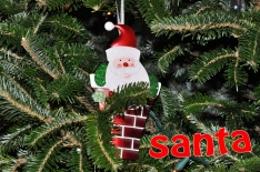(5) Santa: Just an ornament; I haven't seen Santa yet this year