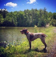 Bella at the Hunting Camp (6/6/14)