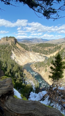 Yellowstone River at Tower